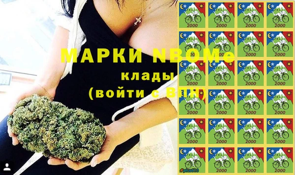 PSILOCYBIN Алзамай
