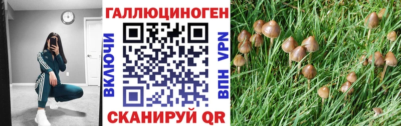 купить наркотики цена  Нестеров  Псилоцибиновые грибы мицелий 